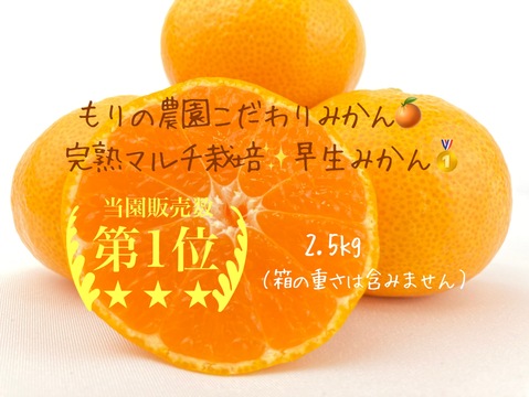 【百貨店で1400箱売れるドルチェみかん🥇】”完熟マルチ栽培”早生みかん2.5kg