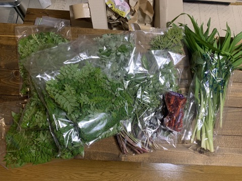 【春の味覚】山椒の新芽 山椒の葉　大容量1000枚以上　自然農法栽培 天ぷら　今年も新芽の季節になりました。香りの良い新芽を，サービスでその日に採れた季節の野菜と共にお入れしてお届け致します