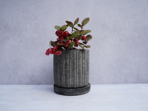 ミニ盆栽【チェッカーベリー × 黒縞陶器】高さ約17cm×横約15cm【夜市限定】