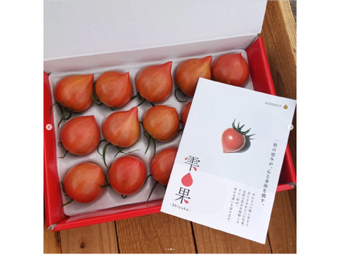 豊かな潤い！ルネッサンストマト「雫果（しずか）」600g・ギフトボックス