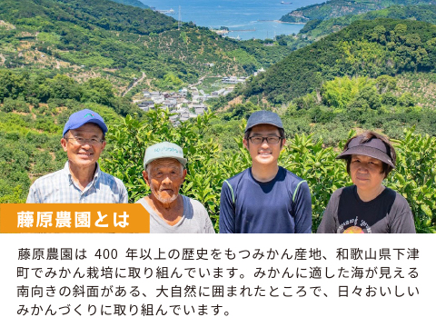 蔵出しみかん晩生10kg｜日本農業遺産認定の和歌山県海南市下津町の特産品