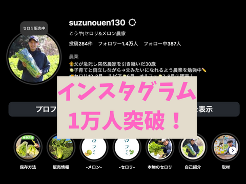 もうスーパーには戻れない！？本物のセロリ！