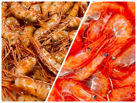 【-60冷凍】ボタンエビvs甘エビ！食べ比べ！2セット