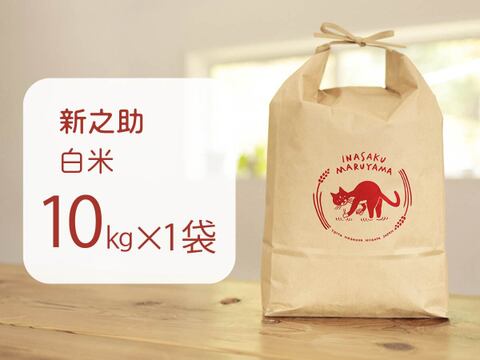 【令和8年産新米】予約・金匠受賞農家🏆つやつや大粒！新之助・白米10kg　新潟米