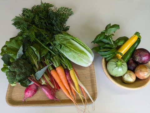 NEW【6月～７月初旬便 お届け】始まったよ！企画　お米１kg＋旬の野菜・農産物詰め合わせ(約6種)　朝採り　新鮮で味の濃い野菜たち