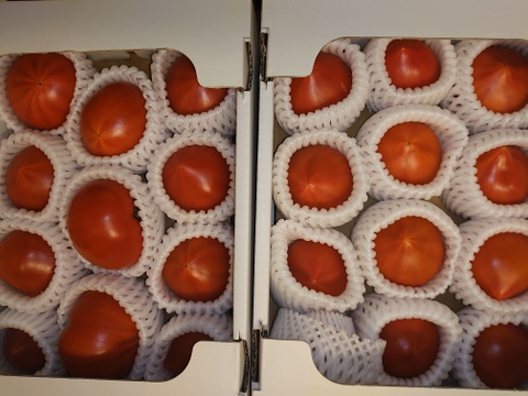 【2箱】衝撃の濃い味！トマトを超えた【ト・マーレ】罪深い美味しさ！800g2箱