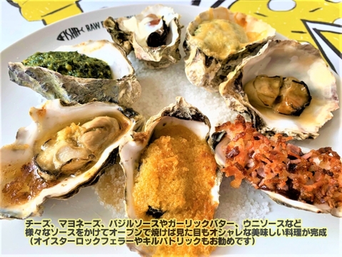【 牡蠣 】みるくがき Ｍサイズ 30個（2.1～2.7kg）  福岡県糸島産 活 牡蠣