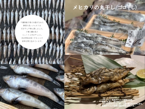 綱元漁師★天日干し干物ギフト箱セット【夏ギフト】