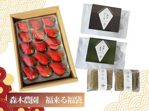 【ゲン担ぎ福袋】森木農園の人気のいちごとお茶のお買い得セット！新春限定　福来る福袋