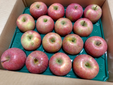 「家庭用」葉取らずふじりんご🍎5キロ箱23個入りです。