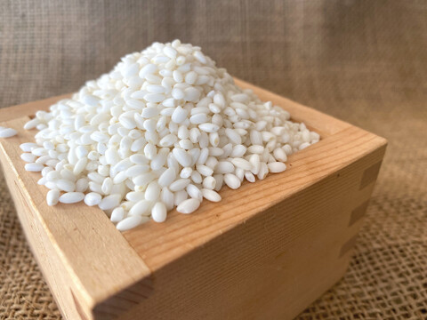 【もち米 白米】2kg 信州産 もちひかり 粘りと弾力が自慢！農薬削減栽培 特別栽培米 令和4年産