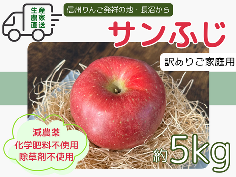生産農家直送 信州りんご発祥の地 長沼りんご サンふじ 訳あり ご家庭用 5kg 長野県産 化学肥料不使用 除草剤不使用 人にやさしく環境にもやさしい農産物