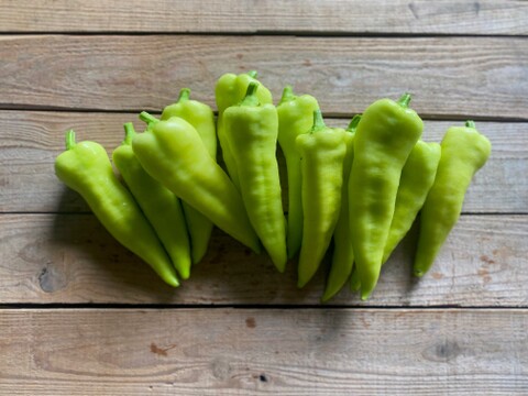 農薬・化学肥料不使用！カラフルピーマンセット1kg！