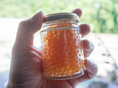 [初物] 岩魚の輝いくら（醤油漬け・100g冷凍）【冬ギフト】