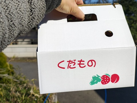 【春ギフト・1kg】ピンクレディー®｜ありがとうを贈る小さなりんご箱｜メッセージカード付