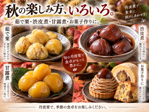 【2026年新栗】丹波栗 2Lサイズ 約1kg 兵庫県丹波産・秋の味覚・採れたて発送 栗 生栗 産地直送