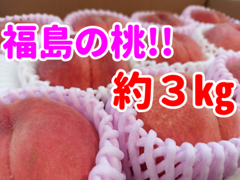 【福島県の桃】品種おまかせ　中箱9〜13玉（約３kg）【ギフト・贈答用に】7月30日頃〜8月15日頃まで販売