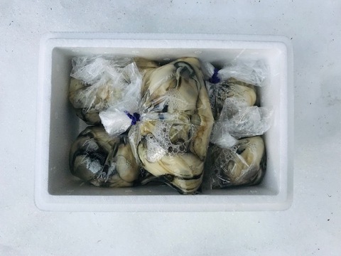 奥能登！　里海の恵み！　穴水産　旨味が詰まった美味しい真牡蠣　むき身（加熱用）小分け　約1kg