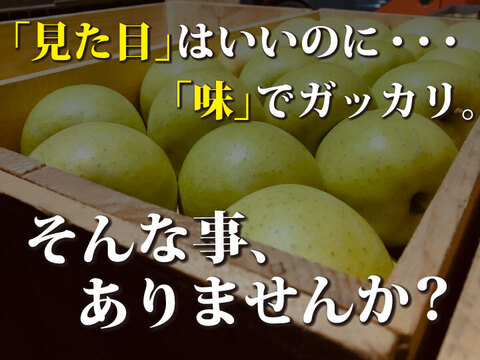 【洋梨みたいな超レアりんご】約５キロ 青森県産りんご「樹上完熟葉とらず黄王」贈答用厳選品