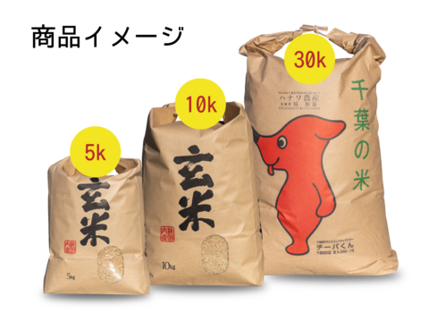 コシヒカリ 30kg（玄米）特別栽培米/ 令和5年：千葉県産のお米｜食べ