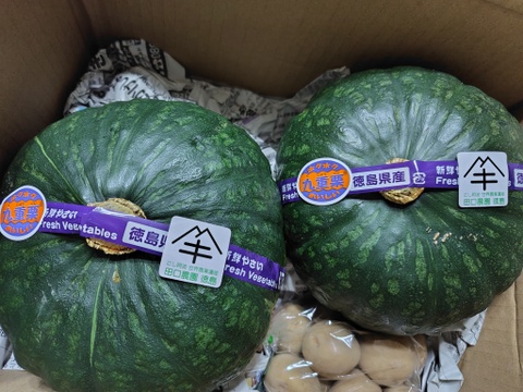 今回収穫分の最終ロットになりました
２Ｋｇ越えの大玉かぼちゃを２玉(合計4kg越え）
旬の味覚ほっくほく 九重栗かぼちゃ
収穫から３週間程度はホクホクです。それ以降は甘みが増しますホクホクは薄れます。