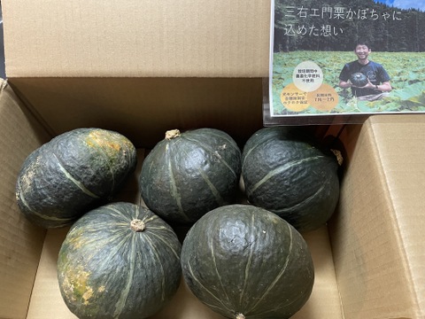 【訳あり】ホクホクがたまらない♪三右エ門栗かぼちゃ 5㎏【化学肥料不使用】