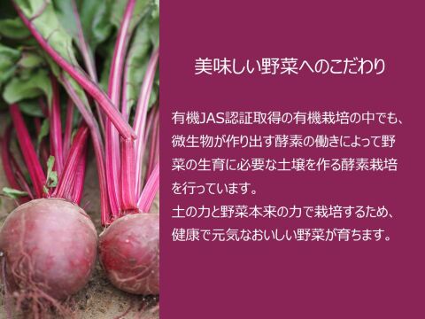 有機JAS認証取得『有機ビーツパウダー 50g × 2袋』 野菜 パウダー オーガニック 農薬無散布 無添加