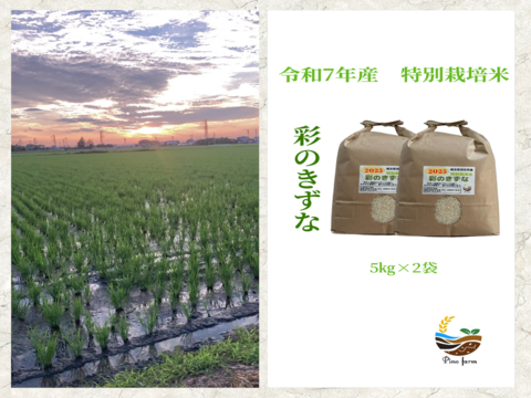 R7年産特別栽培米　彩のきずな　10㎏