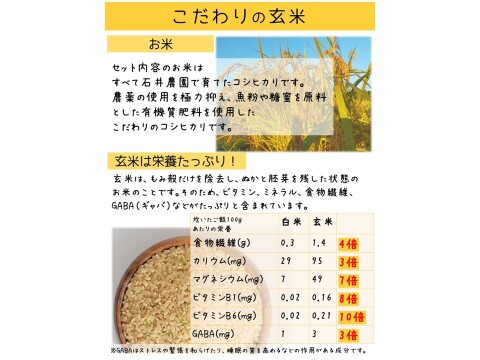 お家で簡単！【 熟成玄米ご飯（酵素玄米） 】手作りセット　3合パック×6個　新潟県弥彦村産コシヒカリ