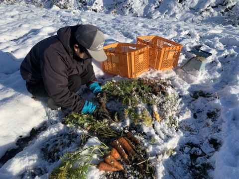 【自然栽培】4~5品目のお野菜セット Sサイズ