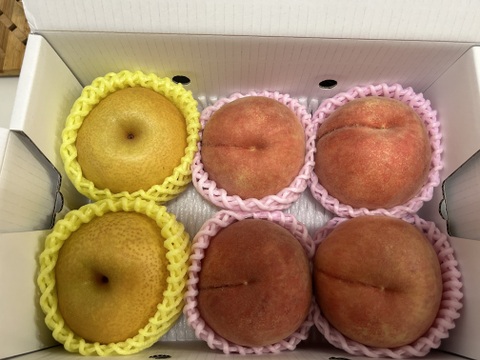 まるせい果樹園の桃　梨と桃の詰め合わせ　おまかせ　2kg自家用　贈答用　(6～11玉入り)　nm1