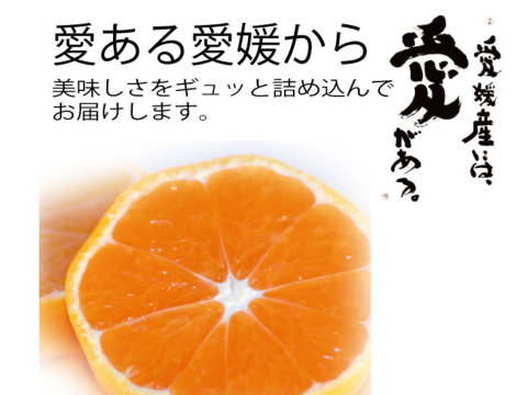 濃厚完熟　大津みかん　ご家庭用・10ｋｇ