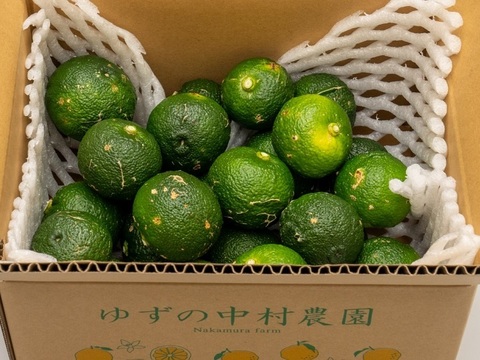 有機JAS 青ゆず１.５キロ -2025年産-