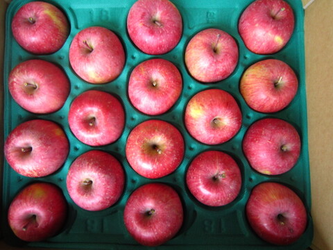 サンふじ(うまじろう)樹上完熟品 御贈答用5kg箱 小玉18玉入り 青森県 南部地方産 自家りんご農園生産直送品！