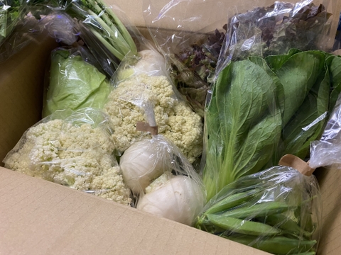 カリフローレ3袋+旬の野菜6袋　☆農業始めて以来、農薬や化学肥料を使っておりません☆彡