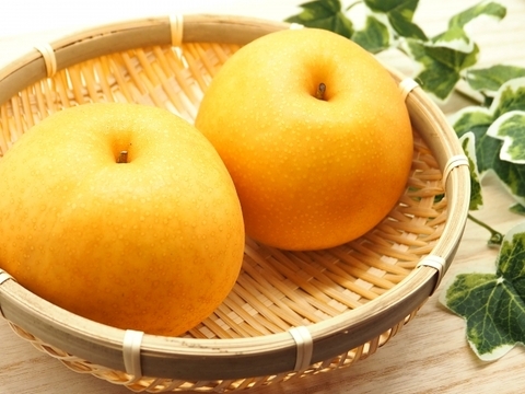 梨の王様！梨【新高】５kg（6～10玉）