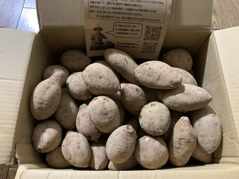 発送中🍠もはやスイーツ！ねっとり甘い安納芋Mサイズ５KG 焼き芋にピッタリ！ 五島の海水を使って育てました！農薬/化学肥料不使用 サツマイモ/さつまいも