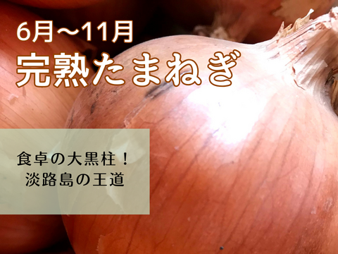【玉ねぎ定期便】淡路島 季節の玉ねぎ 2kg箱 約6～8個入