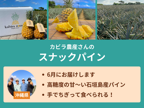 トロピカルフルーツ便［全3回／春スイカ・パイン・マンゴー］※送料込※（食べチョク公式）