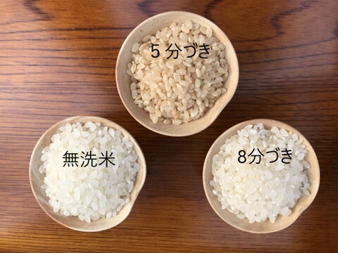 令和2年産コシヒカリ特別栽培米5㎏
栄養に気遣いながら美味しい8分づき
【値引き販売中】
