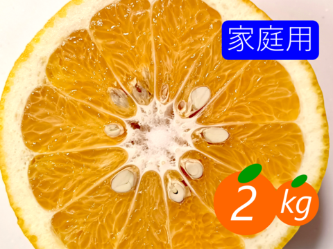 【家庭用】甘夏 2kg ほろ苦くて甘酸っぱい果肉！昔ながらの味！！