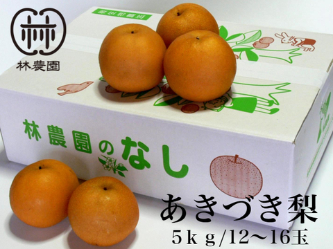 あきづき梨(家庭用）　約5kg(12〜16玉)