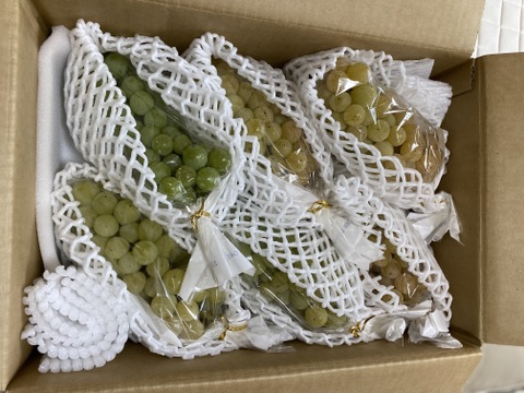 令和7年9月発送開始【特別栽培農産物】まるで蜂蜜！種無しハニーシードレス２kg（5房～8房）