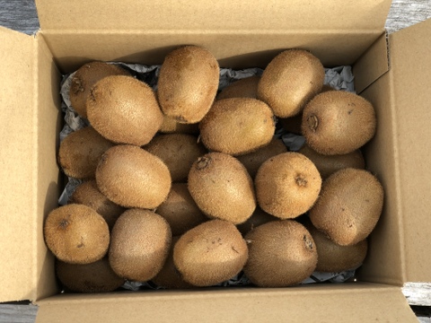皮ごとガブっと 追熟済み 農薬 化学肥料不使用 キウイフルーツs玉 3kg 大分県産 食べチョク 農家 漁師の産直ネット通販 旬の食材を生産者直送