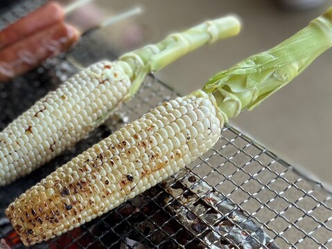 【夏ギフト】【朝採り】甘さ爆発！弾けるとうもろこし　白色のみ12本 『Re.FOODS The Morokoshi』