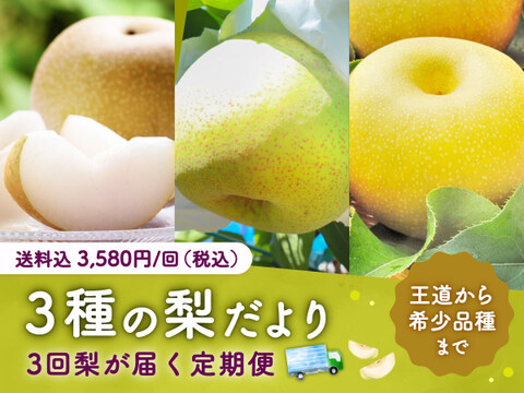 【食べチョク旬の食べ比べ便】豊水