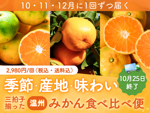 【10/25 終了】温州みかん食べ比べ便 〜みかんは食べチョク〜