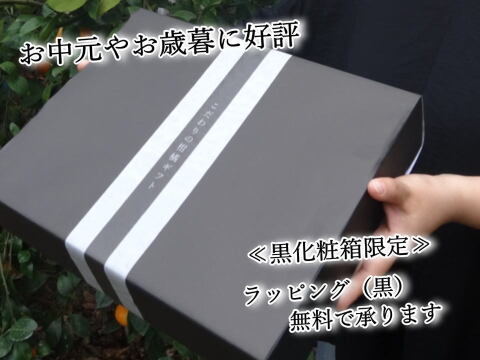 【夏ギフト】【お中元】とろける甘さのハウスみかん！薄皮で果汁たっぷり！冷やしてやみつき！ネットで話題のブランドみかん「蜜ツ星（みつぼし）」　黒化粧箱（中）　Ｓサイズ　秀品　１５玉入　【商品番号03】