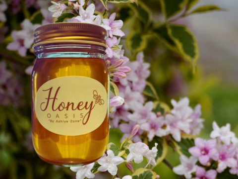 【非加熱･無添加】こだわり国産生はちみつ　タニウツギ　500g