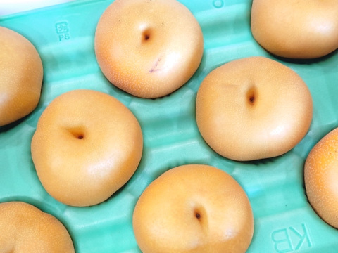 【訳あり】ある時限定！果汁溢れる豊水梨  約5kg 【大きめサイズ】